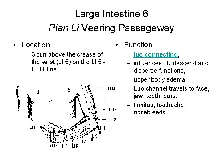 Large Intestine 6 Pian Li Veering Passageway • Location – 3 cun above the