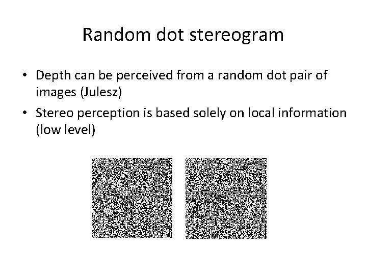 Random dot stereogram • Depth can be perceived from a random dot pair of