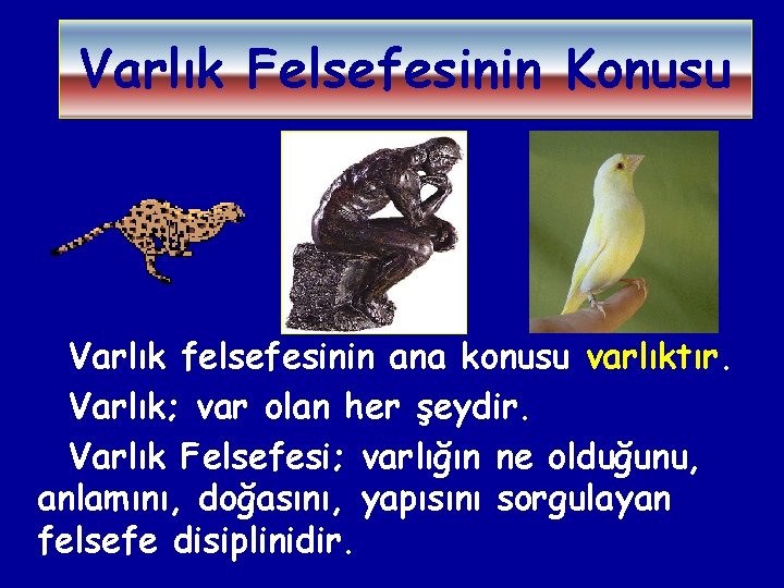 Varlık Felsefesinin Konusu Varlık felsefesinin ana konusu varlıktır. Varlık; var olan her şeydir. Varlık