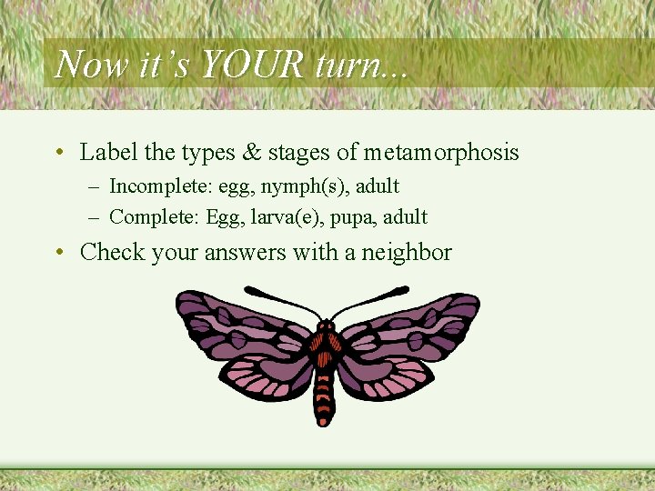 Now it’s YOUR turn. . . • Label the types & stages of metamorphosis