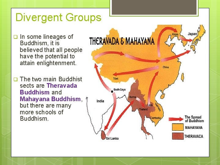 Divergent Groups q In some lineages of Buddhism, it is believed that all people