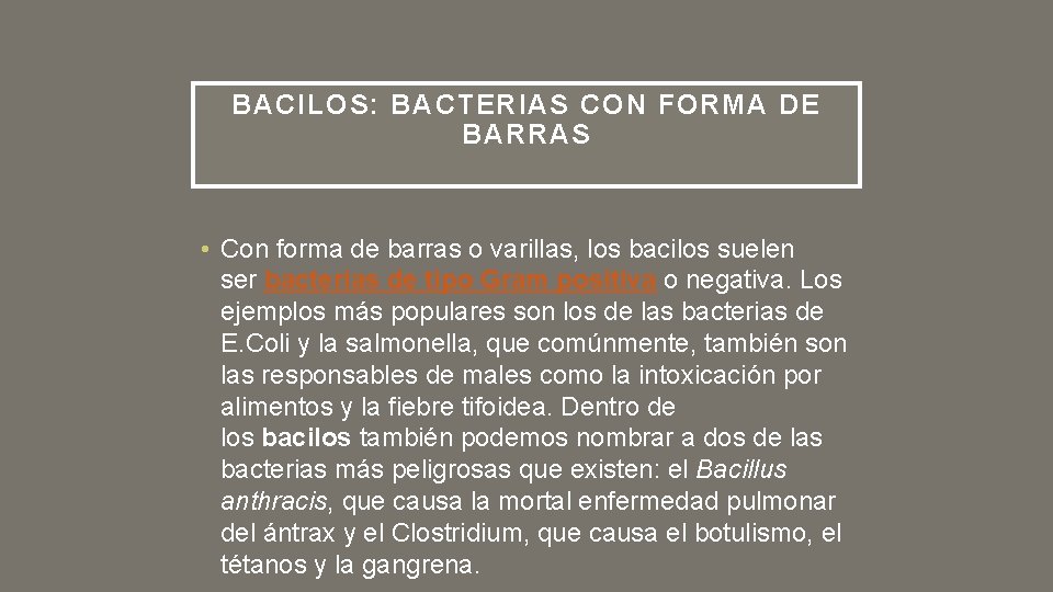BACILOS: BACTERIAS CON FORMA DE BARRAS • Con forma de barras o varillas, los