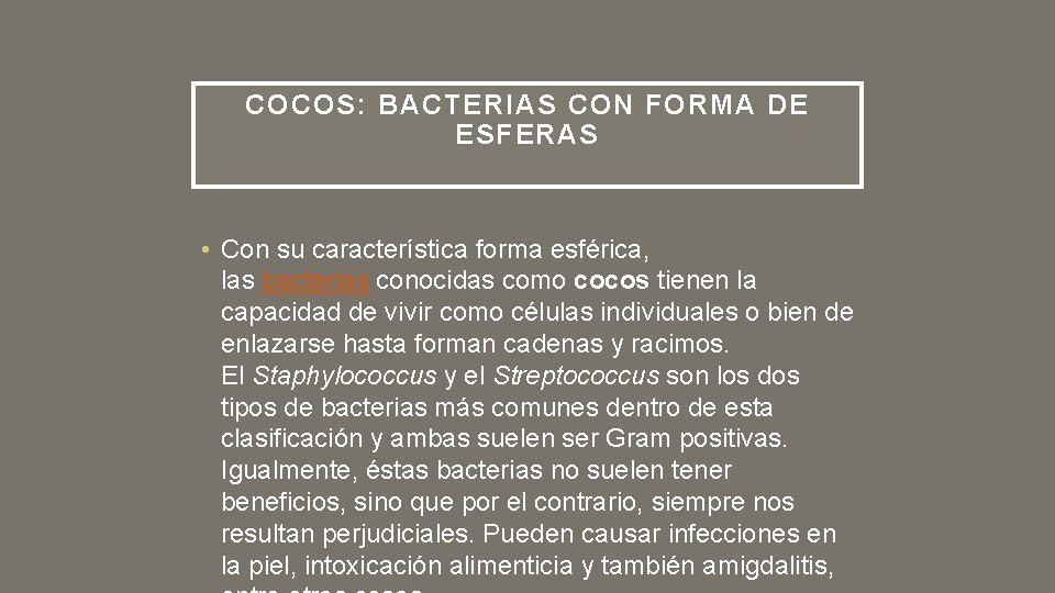 COCOS: BACTERIAS CON FORMA DE ESFERAS • Con su característica forma esférica, las bacterias