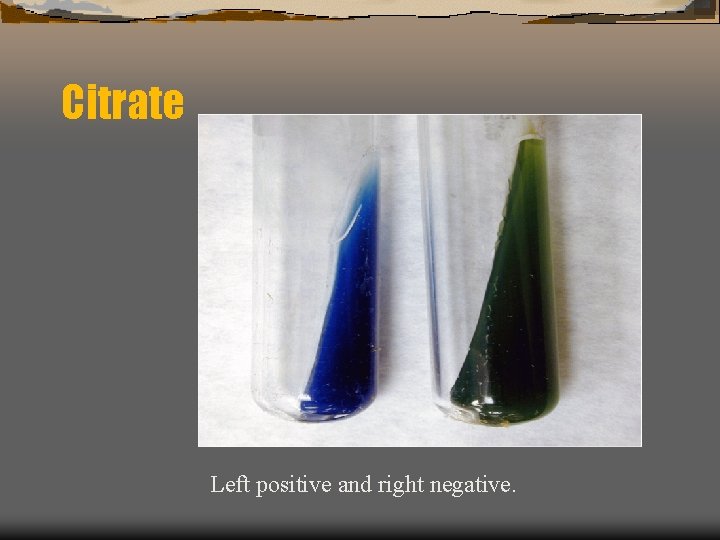 Citrate Left positive and right negative. 