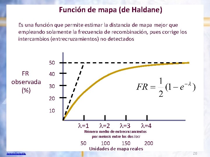 Función de mapa (de Haldane) Es una función que permite estimar la distancia de