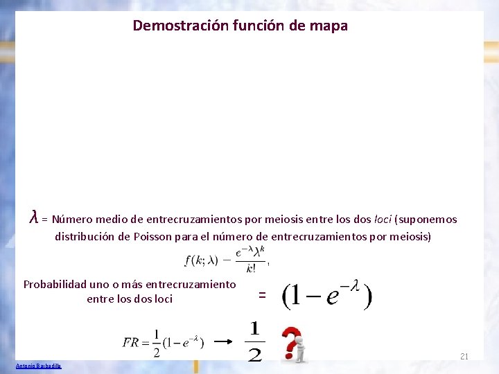 Demostración función de mapa λ = Número medio de entrecruzamientos por meiosis entre los