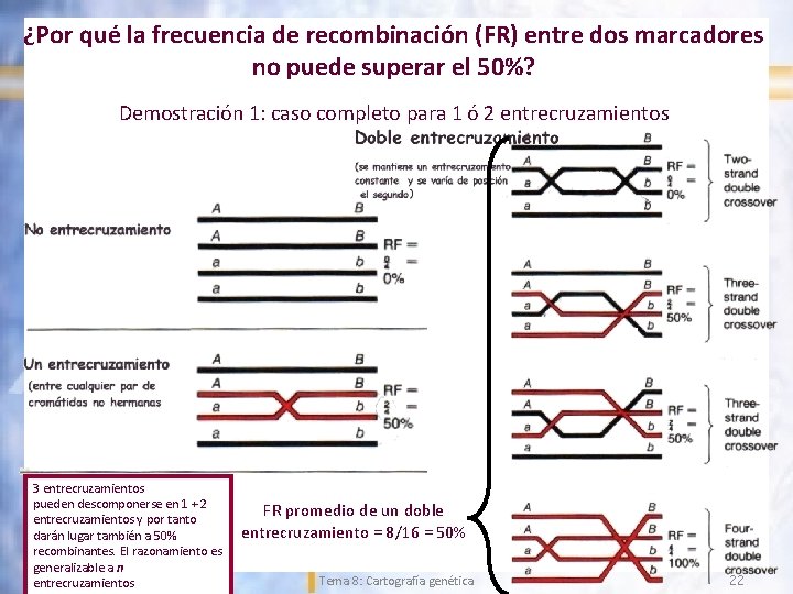 ¿Por qué la frecuencia de recombinación (FR) entre dos marcadores no puede superar el