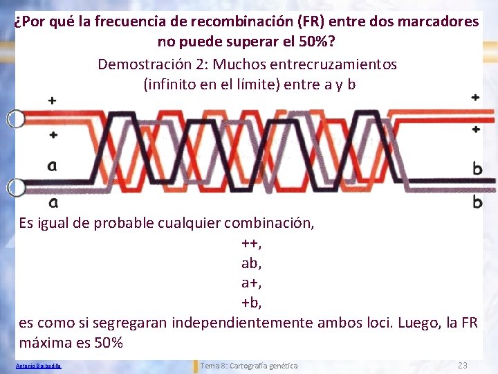 ¿Por qué la frecuencia de recombinación (FR) entre dos marcadores no puede superar el