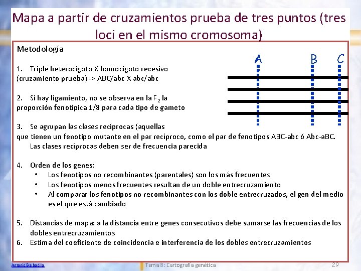 Mapa a partir de cruzamientos prueba de tres puntos (tres loci en el mismo