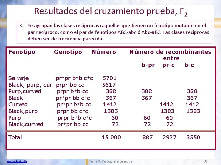 Resultados del cruzamiento prueba, F 2 3. Se agrupan las clases recíprocas (aquellas que