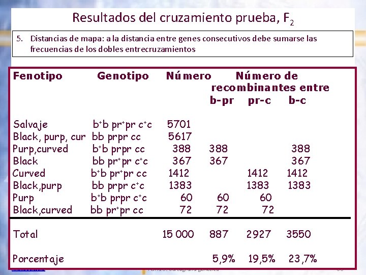 Resultados del cruzamiento prueba, F 2 5. Distancias de mapa: a la distancia entre