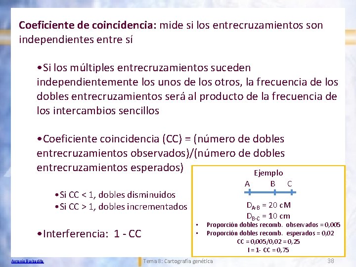 Coeficiente de coincidencia: mide si los entrecruzamientos son independientes entre sí • Si los