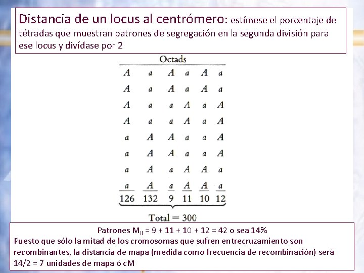 Distancia de un locus al centrómero: estímese el porcentaje de tétradas que muestran patrones