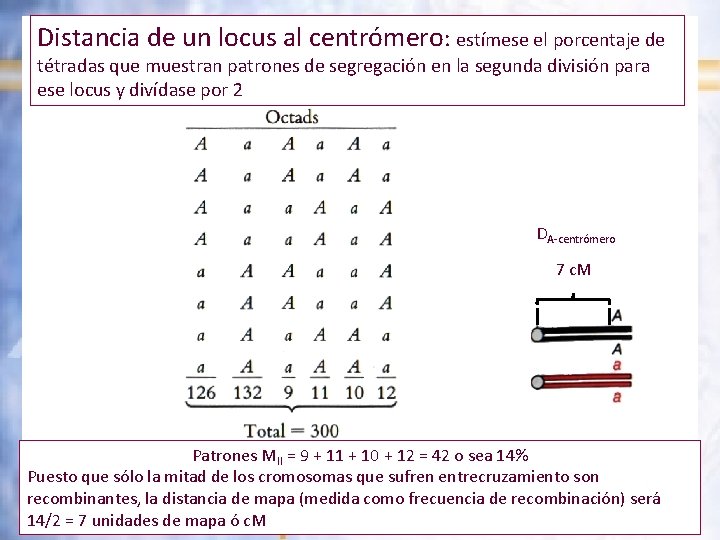 Distancia de un locus al centrómero: estímese el porcentaje de tétradas que muestran patrones