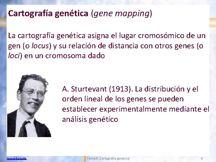 Cartografía genética (gene mapping) La cartografía genética asigna el lugar cromosómico de un gen