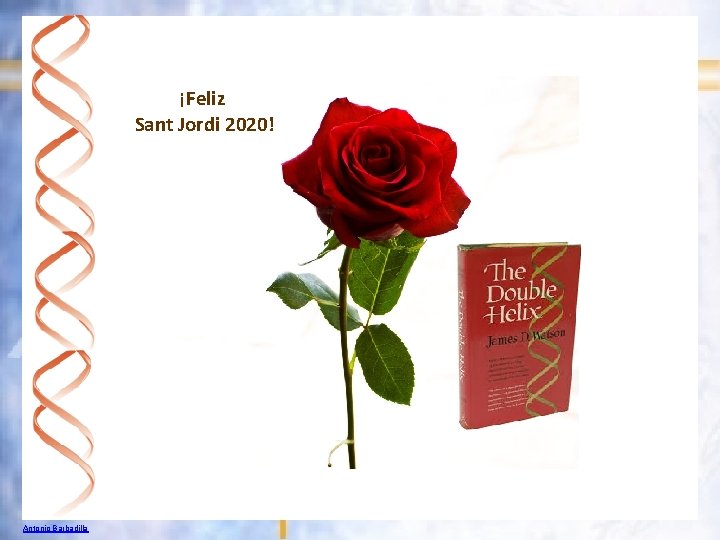 ¡Feliz Sant Jordi 2020! Antonio Barbadilla 