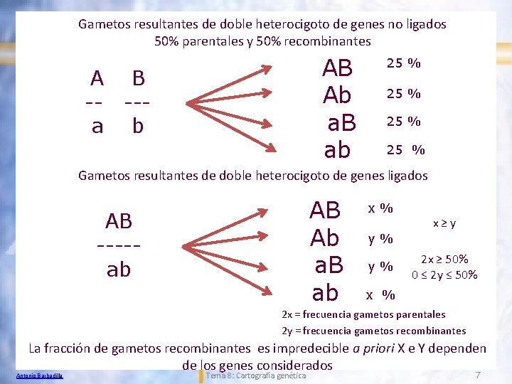 Gametos resultantes de doble heterocigoto de genes no ligados 50% parentales y 50% recombinantes