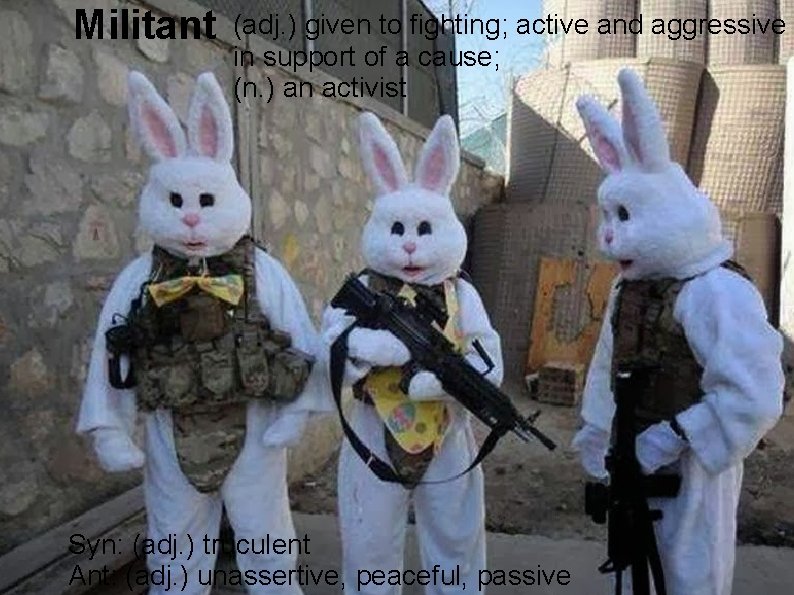 Militant (adj. ) given to fighting; active and aggressive in support of a cause;
