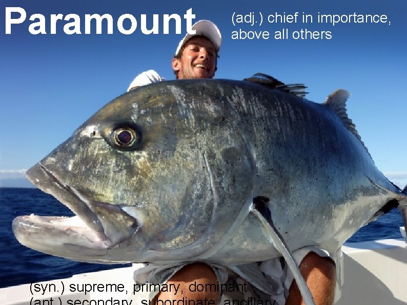 Paramount (adj. ) chief in importance, above all others (syn. ) supreme, primary, dominant