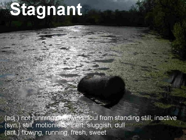 Stagnant (adj. ) not running or flowing; foul from standing still; inactive (syn. )