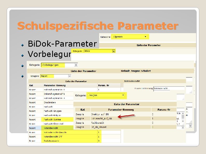 Schulspezifische Parameter Bi. Dok-Parameter Vorbelegungen Notenübersicht bzw. NÜ-SPF Direktor. In bzw. Erziehungsber. auf SN