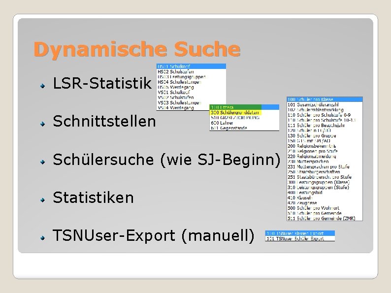 Dynamische Suche LSR-Statistik Schnittstellen Schülersuche (wie SJ-Beginn) Statistiken TSNUser-Export (manuell) 