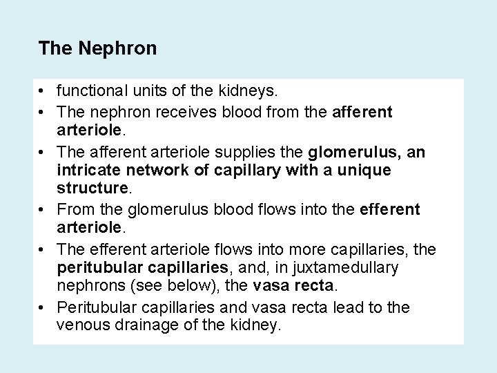 The Nephron • functional units of the kidneys. • The nephron receives blood from