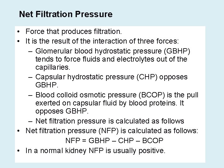 Net Filtration Pressure • Force that produces filtration. • It is the result of