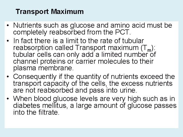 Transport Maximum • Nutrients such as glucose and amino acid must be completely reabsorbed