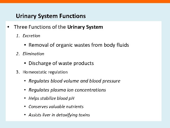 Urinary System Functions • Three Functions of the Urinary System 1. Excretion • Removal