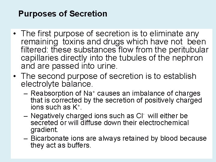 Purposes of Secretion • The first purpose of secretion is to eliminate any remaining