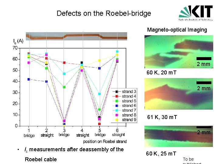 Defects on the Roebel-bridge Magneto-optical Imaging 2 mm 60 K, 20 m. T 2