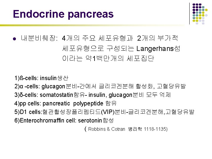 Endocrine pancreas l 내분비췌장: 4개의 주요 세포유형과 2개의 부가적 세포유형으로 구성되는 Langerhans섬 이라는 약