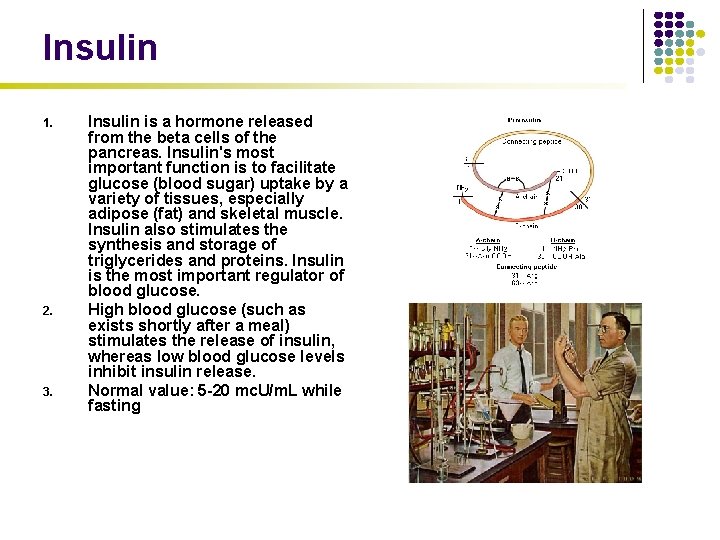 Insulin 1. 2. 3. Insulin is a hormone released from the beta cells of
