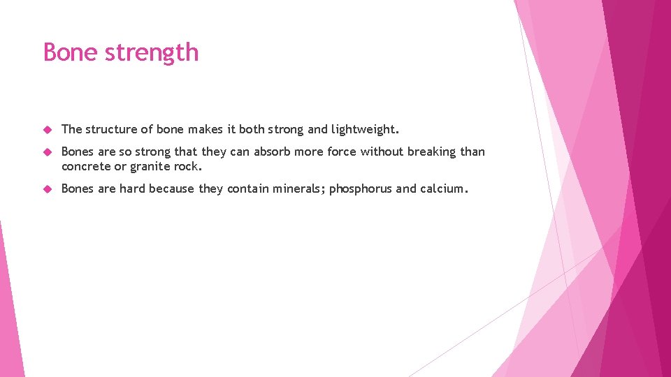 Bone strength The structure of bone makes it both strong and lightweight. Bones are