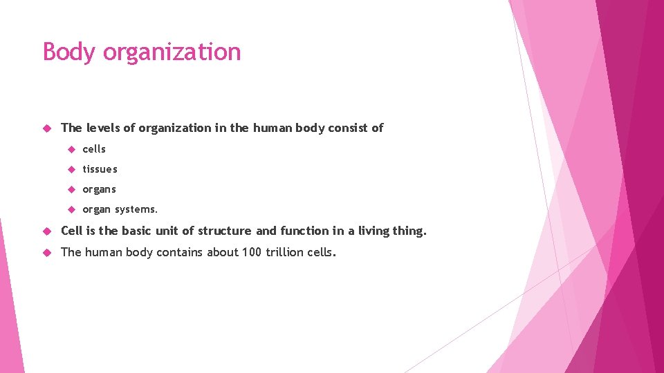 Body organization The levels of organization in the human body consist of cells tissues