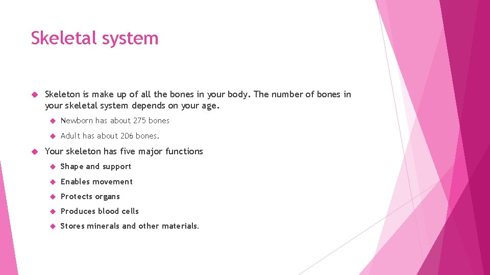 Skeletal system Skeleton is make up of all the bones in your body. The