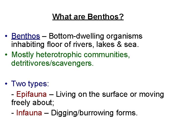 What are Benthos? • Benthos – Bottom-dwelling organisms inhabiting floor of rivers, lakes &