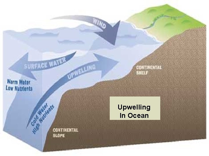 Upwelling In Ocean 