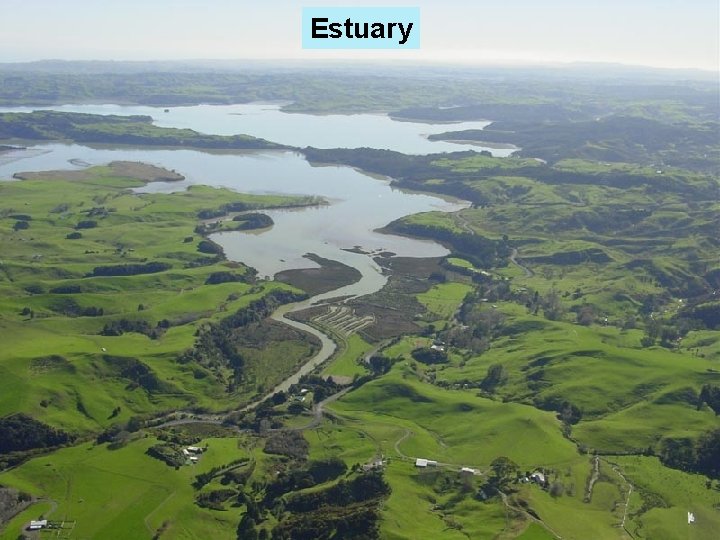 Estuary 