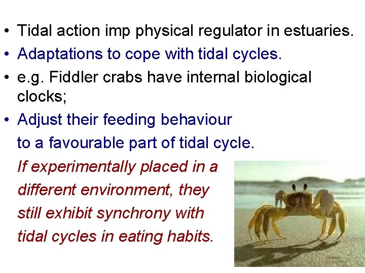  • Tidal action imp physical regulator in estuaries. • Adaptations to cope with