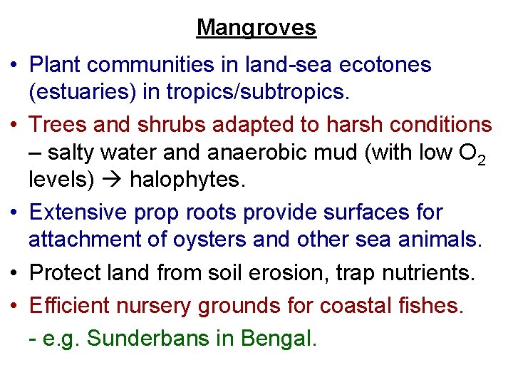 Mangroves • Plant communities in land-sea ecotones (estuaries) in tropics/subtropics. • Trees and shrubs