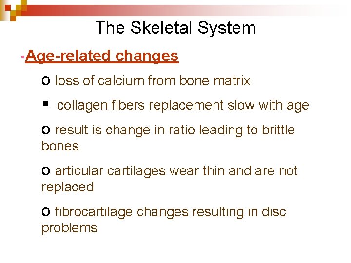 The Skeletal System • Age-related changes o loss of calcium from bone matrix §