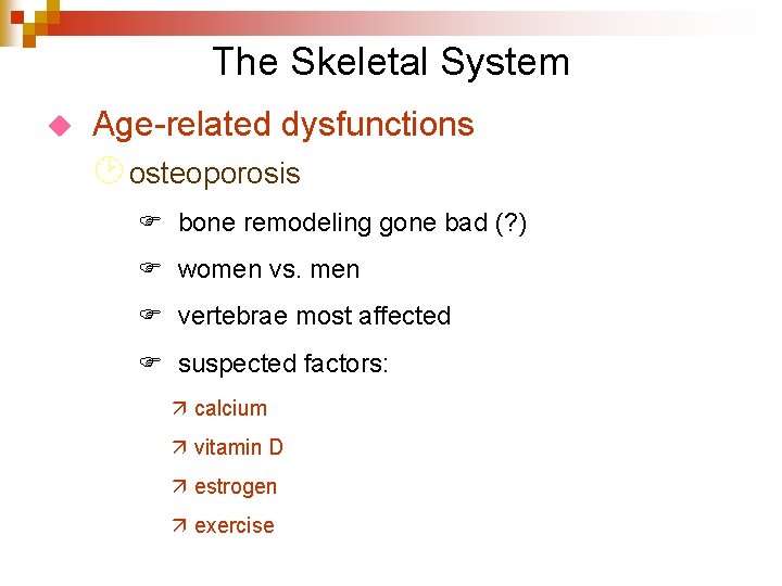 The Skeletal System u Age-related dysfunctions ¸ osteoporosis F bone remodeling gone bad (?