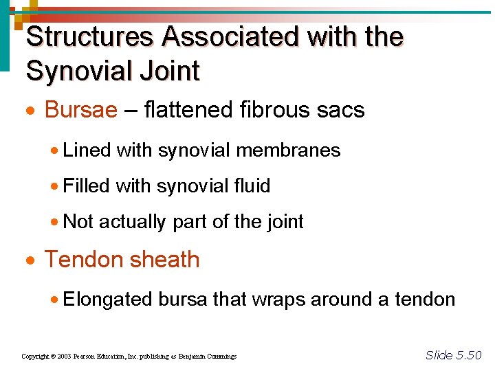 Structures Associated with the Synovial Joint · Bursae – flattened fibrous sacs · Lined