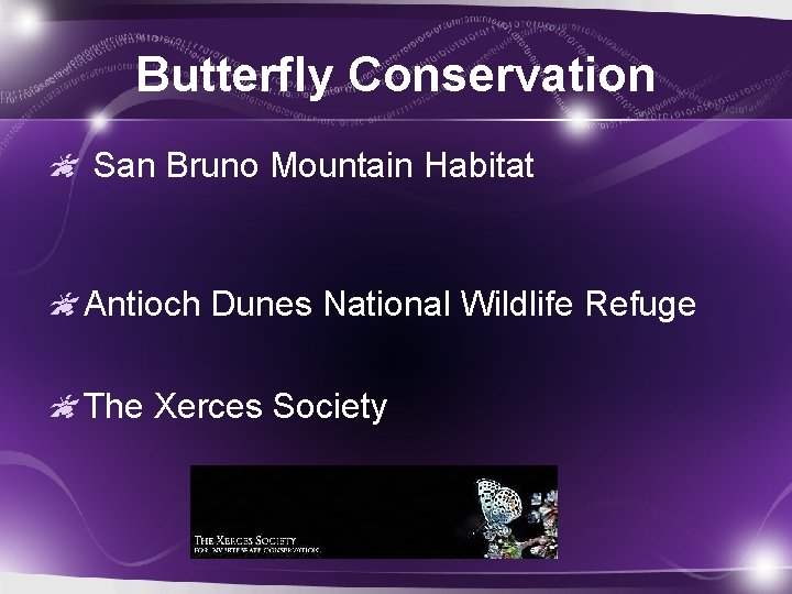 Butterfly Conservation San Bruno Mountain Habitat Antioch Dunes National Wildlife Refuge The Xerces Society
