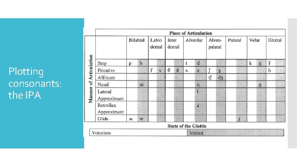 Plotting consonants: the IPA 