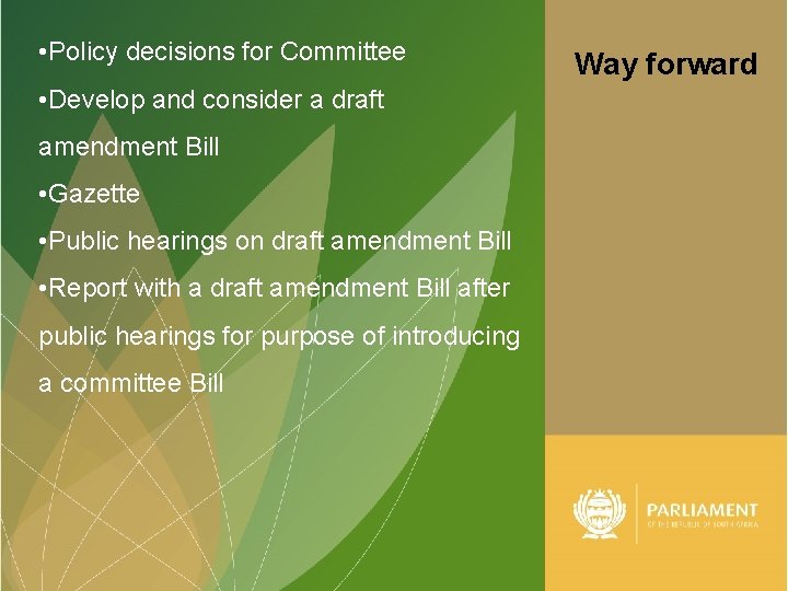  • Policy decisions for Committee • Develop and consider a draft amendment Bill