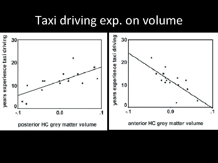 Taxi driving exp. on volume 