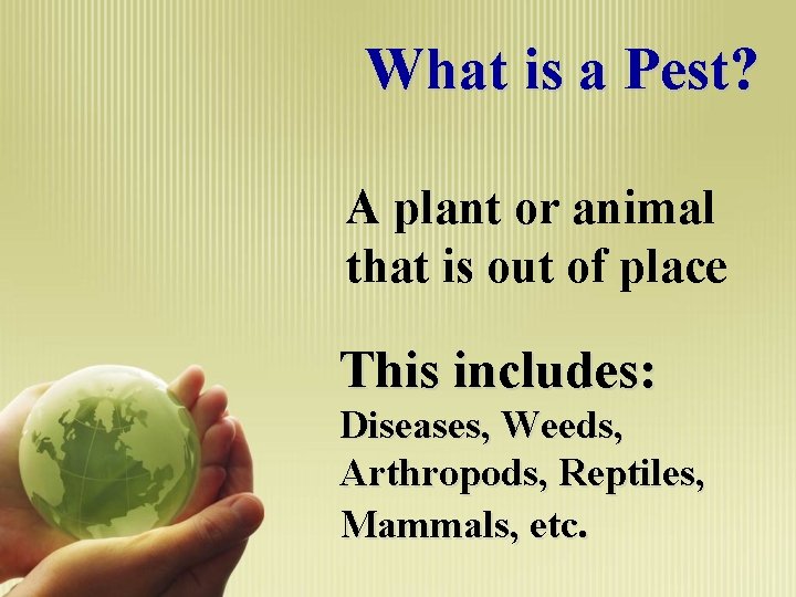 What is a Pest? A plant or animal that is out of place This